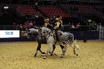 Quadrille - 00687